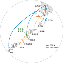 徳之島アクセスマップ